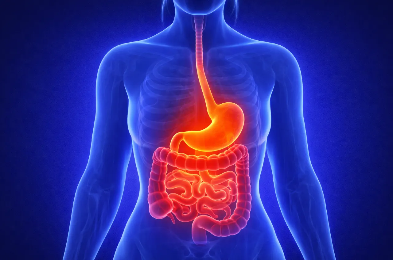 IBS: Understanding Irritable Bowel Syndrome